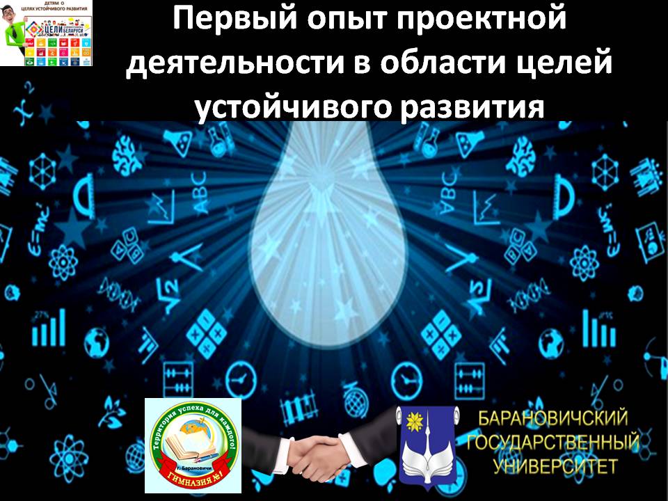 Первый опыт проектной деятельности в области целей устойчивого развития