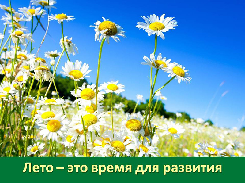 Лето – это время для развития