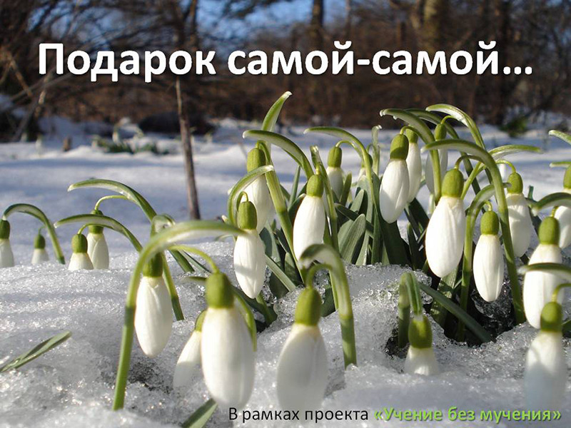 Подарок самой-самой...