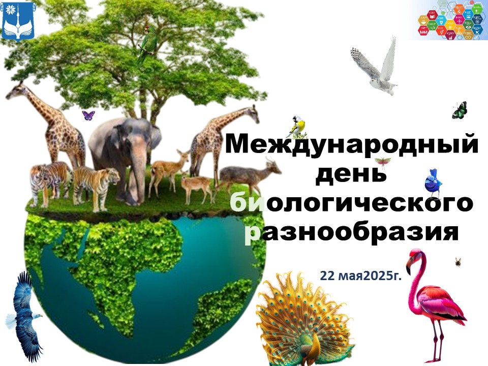 Международный день биологического разнообразия 
