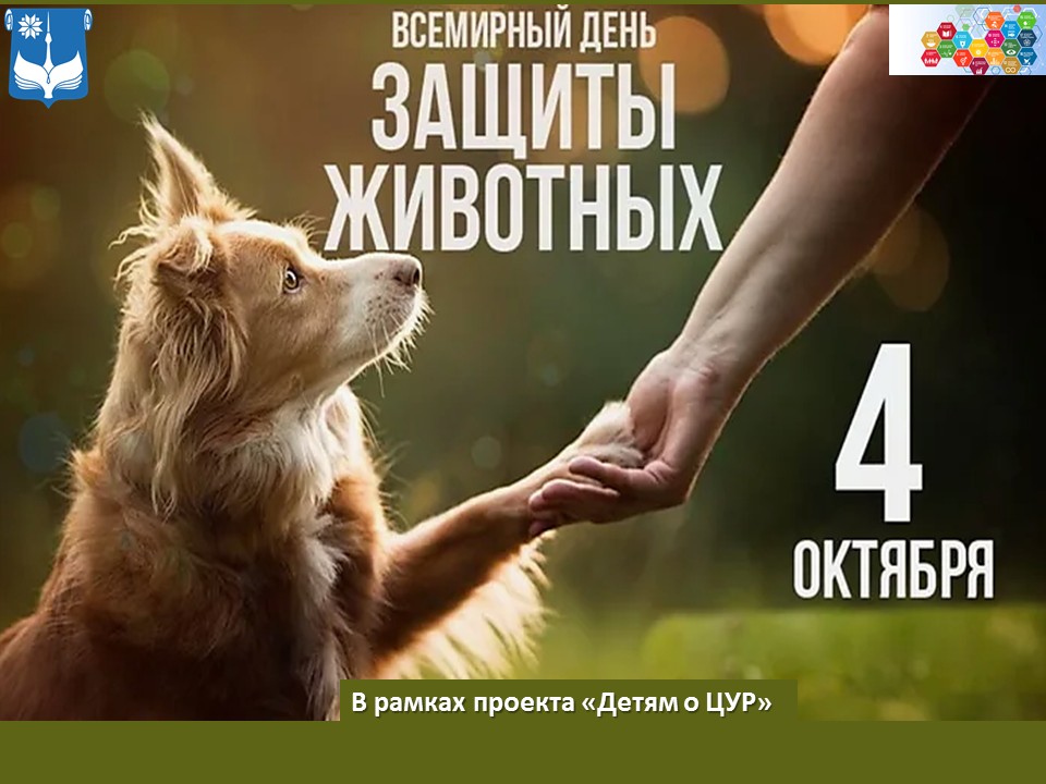Всемирный день защиты животных
