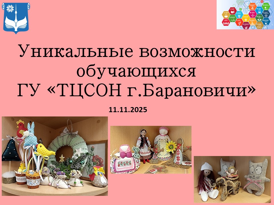 Уникальные возможности обучающихся ГУ «ТЦСОН г.Барановичи»