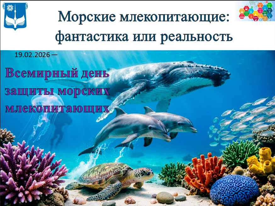 Всемирный день защиты морских млекопитающих