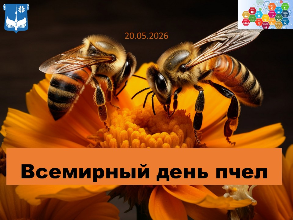 В гостях у пчёл