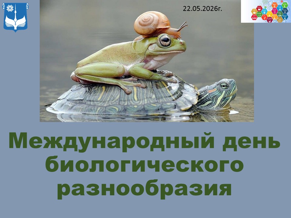 В мире животных
